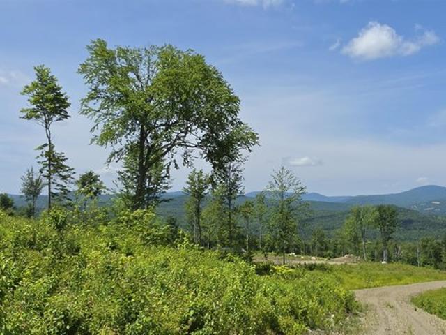Land for sale in New Hampshire