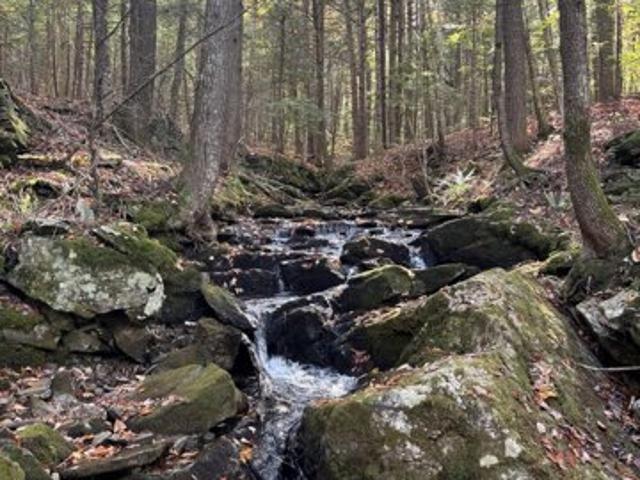Land for sale in Greenwood, Maine