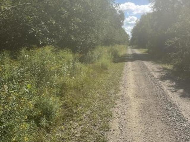 Land for sale in Harrington, Maine