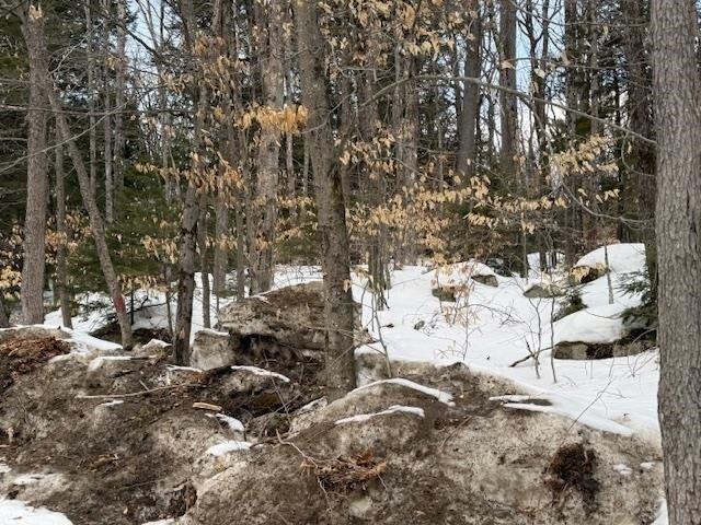 Land for sale in New Hampshire