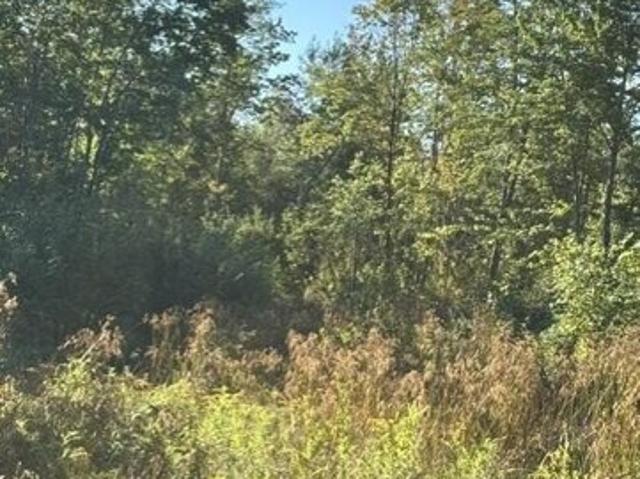 Land for sale in Detroit, Somerset County