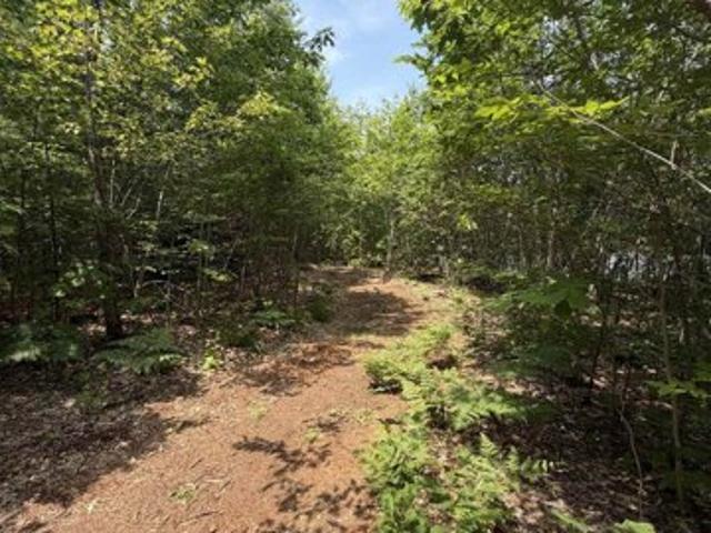 Land for sale in New Hampshire