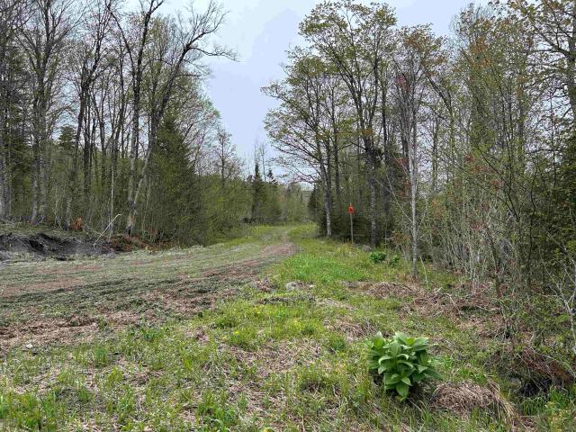 Land for sale in New Hampshire