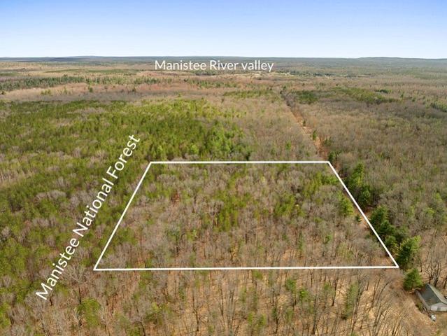 Land for sale in Brethren, Michigan