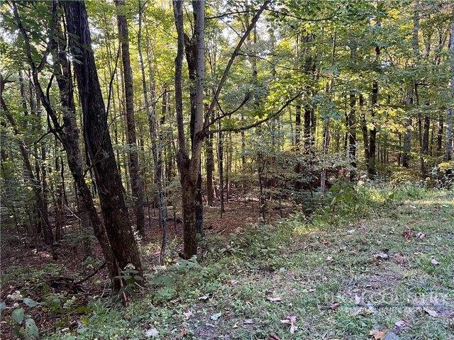 Land for sale in West Jefferson, North Carolina