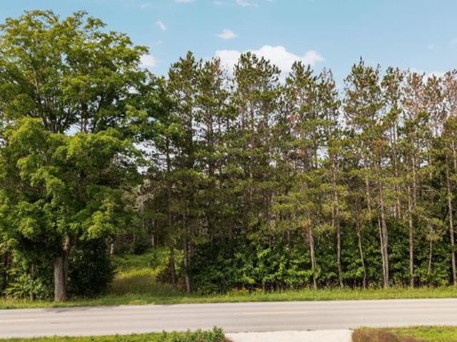 Land for sale in Lake Ann, Michigan