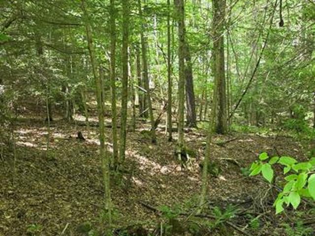 Land for sale in Garrett, Maryland