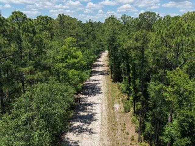 Land for sale in Waverly, Georgia