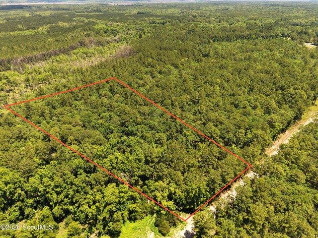 Land for sale in Waverly, Georgia
