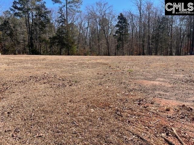 Land for sale in Prosperity, South Carolina