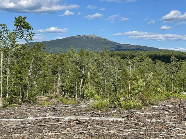 Land for sale in New Hampshire