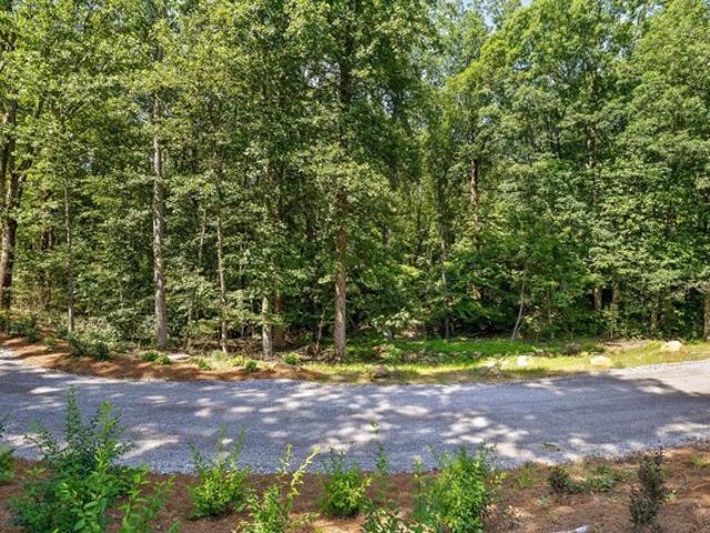Land for sale in Lookout Mountain, Georgia