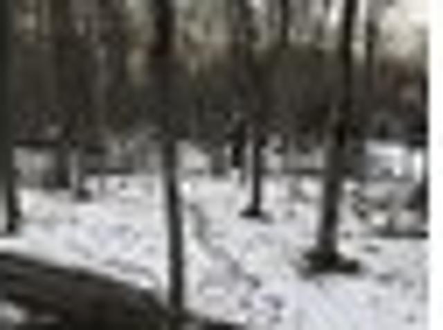 Land for sale in Newfoundland, Pennsylvania