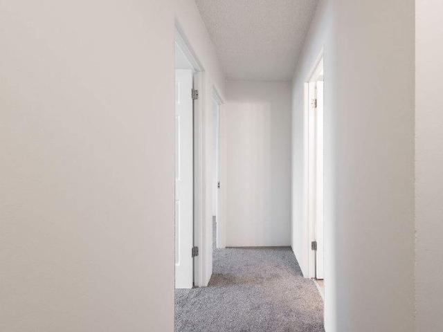 Apartment for rent in Langley, British Columbia