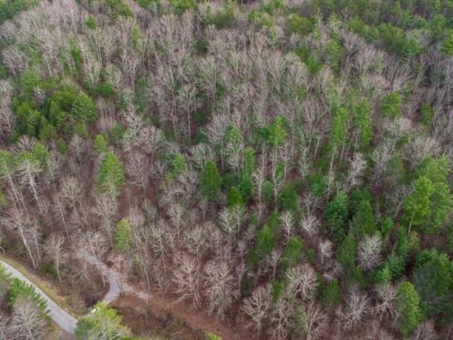 Land for sale in Reliance, Tennessee