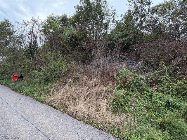 Land for sale in Bellaire, Belmont County