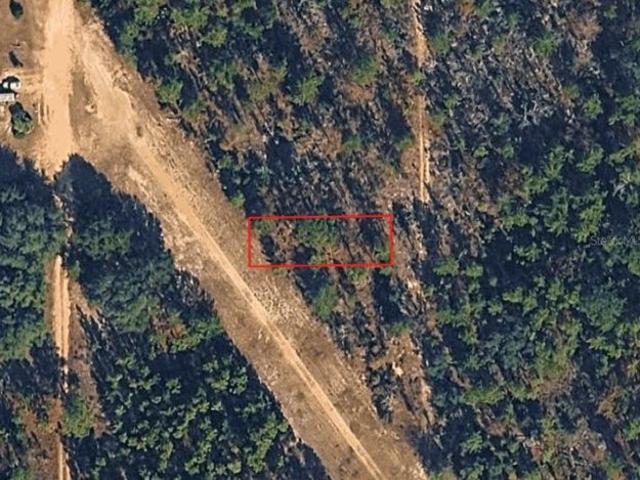 Land for sale in Interlachen, Putnam County