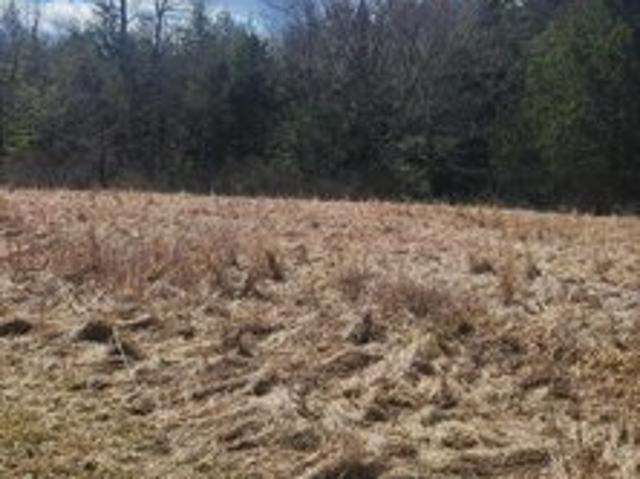 Land for sale in Sullivan, Pennsylvania