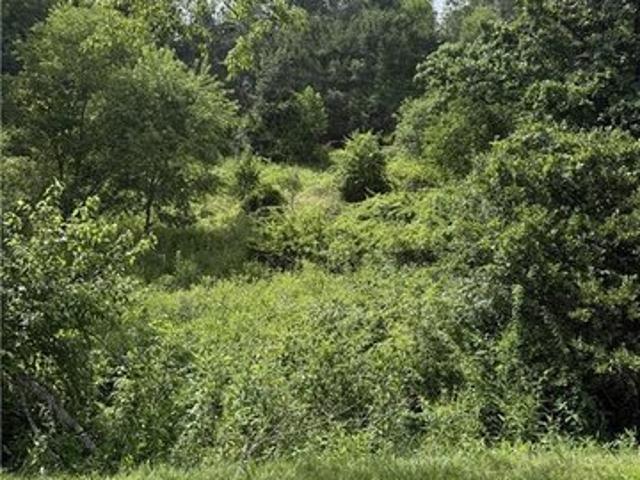 Land for sale in Alleghany, North Carolina
