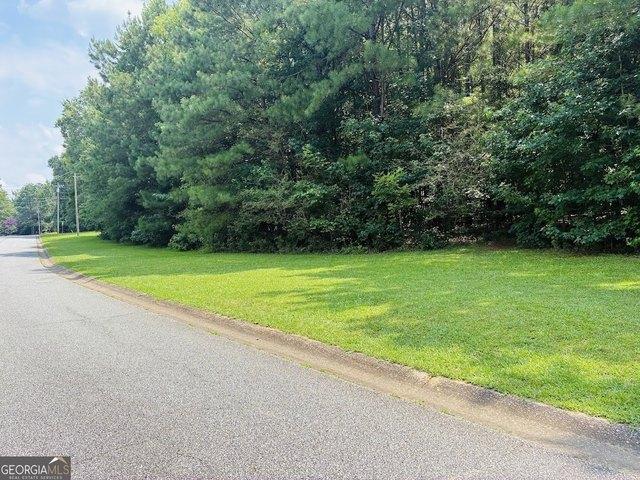 Land for sale in Sharpsburg, Georgia