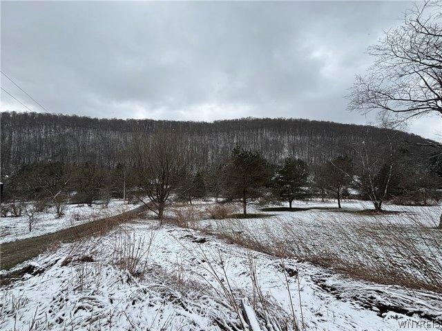 Land for sale in Ellicottville, New York