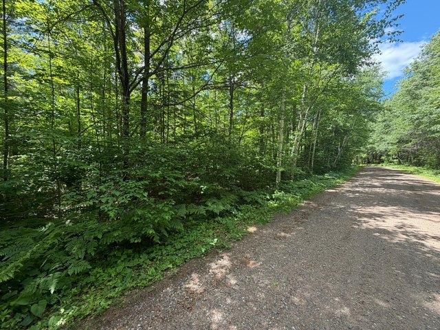 Land for sale in Minocqua, Wisconsin