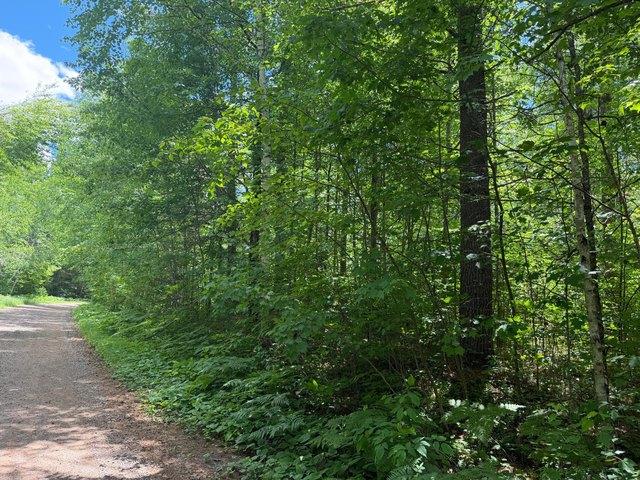 Land for sale in Minocqua, Wisconsin