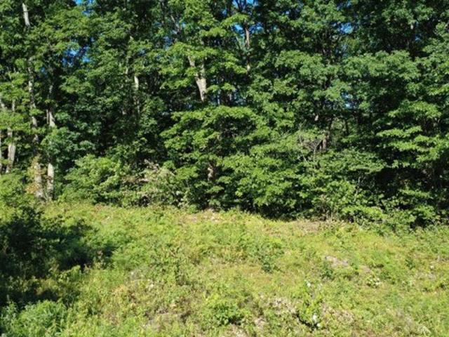 Land for sale in Sandy Ridge, Pennsylvania