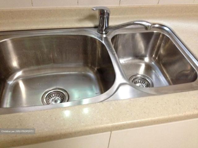 Condominium for rent in Bukit Timah, 23 North West