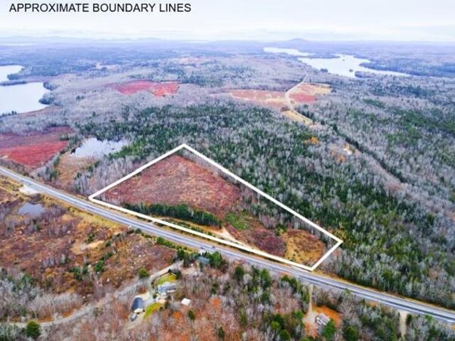 Land for sale in East Orland, Orland