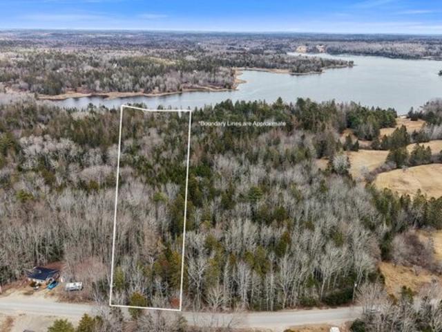 Land for sale in Corea, Maine