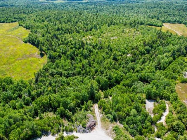 Land for sale in Maine