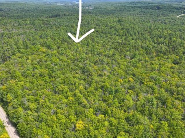 Land for sale in Lovell, Maine