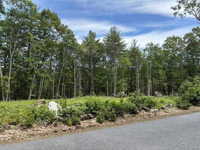 Land for sale in Norway, Maine