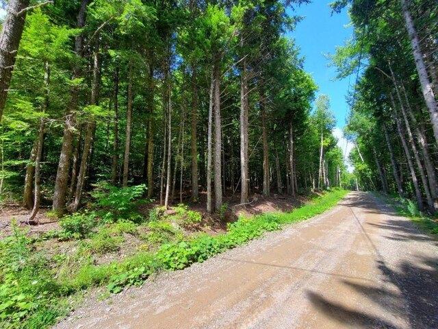 Land for sale in Danforth, Maine