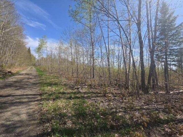 Land for sale in Perham, Maine