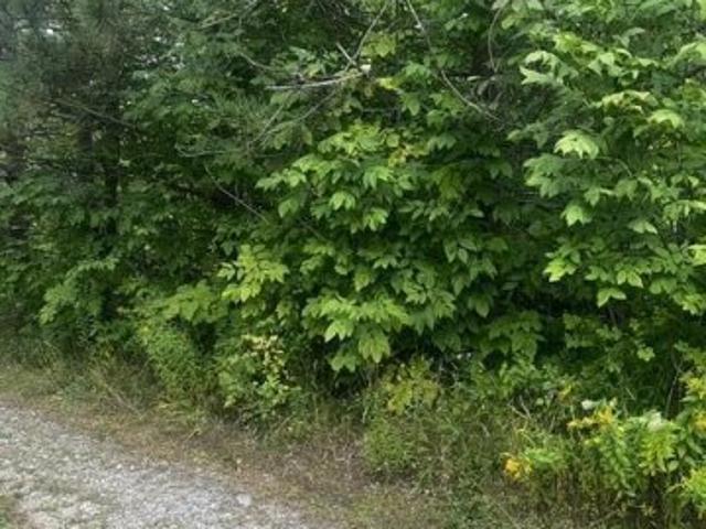 Land for sale in Princeton, Washington County