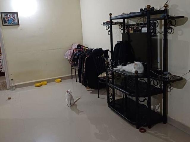 Flat for rent in Chamba, Himachal Pradesh