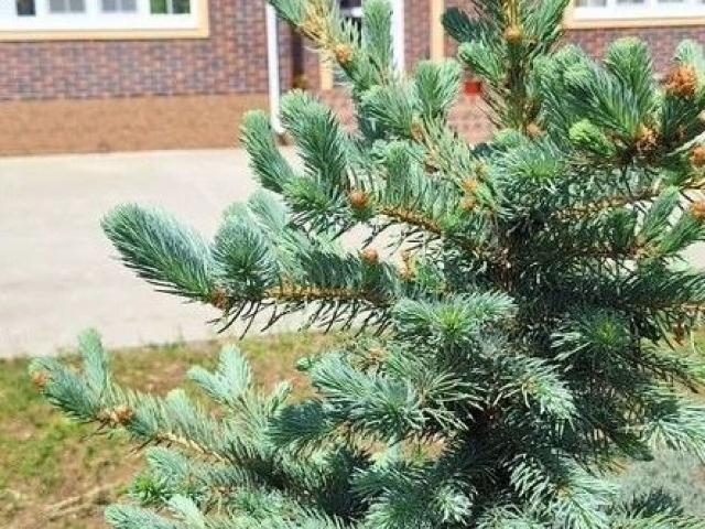 Квартира продажа в Марьянская Ст-ца, Краснодарский Край
