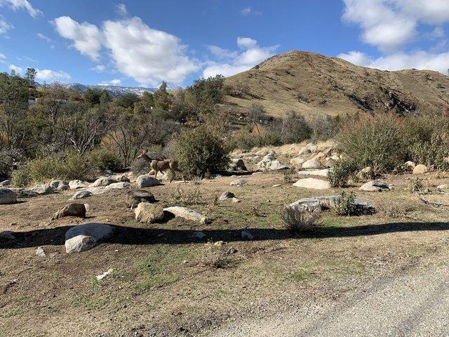 Land for sale in Wofford Heights, California
