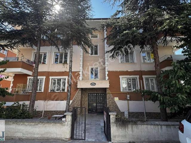 Afyon Merkez, Afyonkarahisar içerisinde kiralık mülk