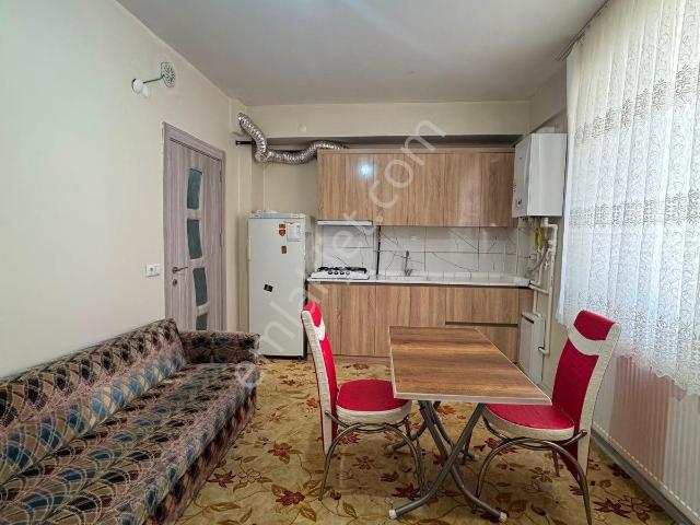 Karaman Merkez, Karaman içerisinde kiralık mülk