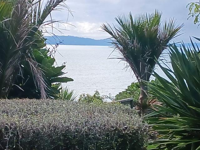 House for rent in East Tamaki