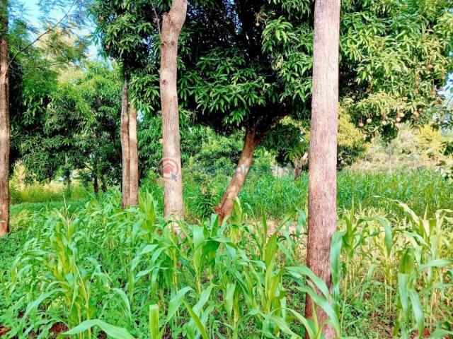 Property for sale in Makuyu, Maragwa