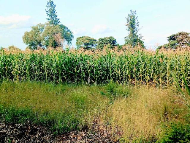 Commercial for sale in Maragwa, Murang'a