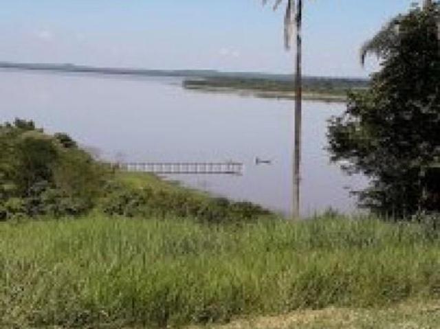 Sítio e chácara venda em Sertanópolis, Paraná