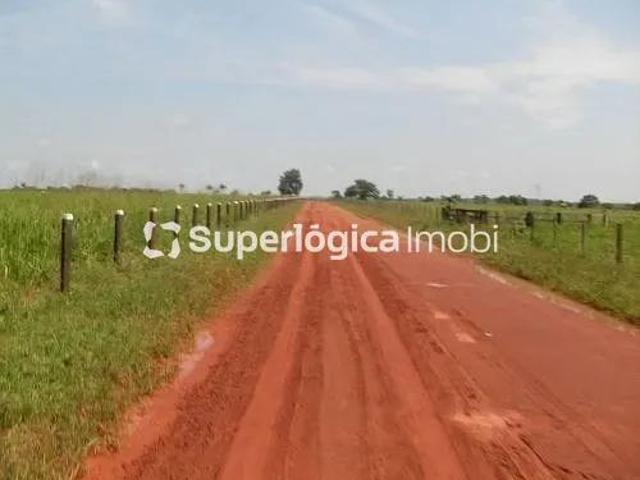 Sítio e chácara venda em Região Geográfica Imediata de Peixoto de Azevedo - Guarantã do Norte, Peixoto de Azevedo