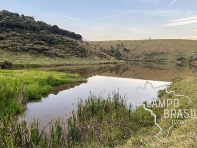 Sítio e chácara venda em Região Imediata de Guaratinguetá, Região Metropolitana do Vale do Paraíba e Litoral Norte