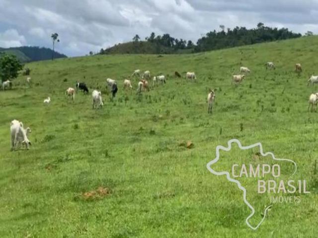Sítio e chácara venda em Região Imediata de Guaratinguetá, Região Metropolitana do Vale do Paraíba e Litoral Norte