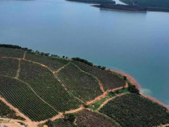 Sítio e chácara venda em Região Geográfica Imediata de Três Pontas - Boa Esperança, Boa Esperança